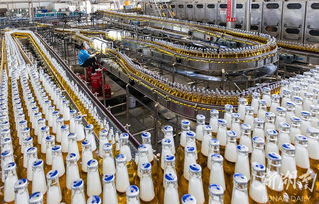 華潤雪花啤酒湘西工廠 旺季生產“火力全開”，推動區域產業升級